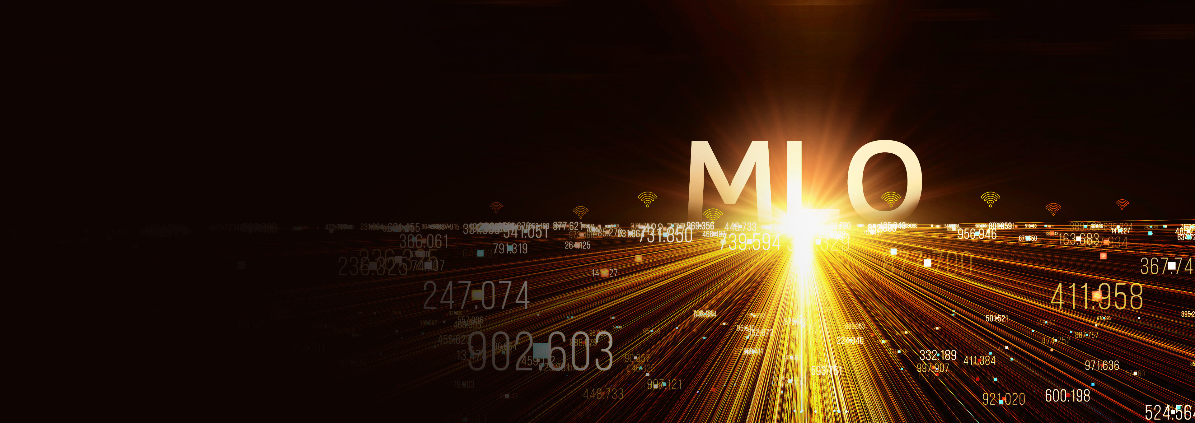 MLO_Dekstop-1